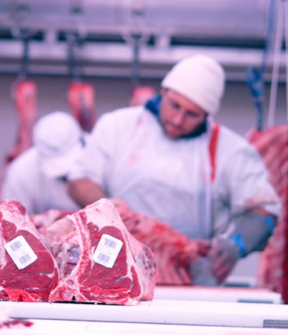 Prima lavorazione - Mec Carni
