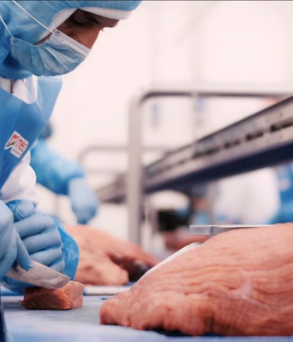 Seconda e terza lavorazione - Mec Carni