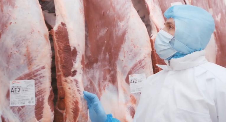 Monitoraggio - Carni Mec